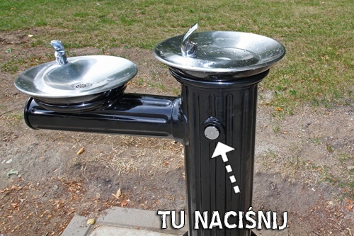 Parkowa aleja jak salon